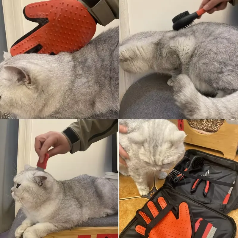 Przenośny Luksusowy Zestaw do  – House Hair Care recenzja i cena